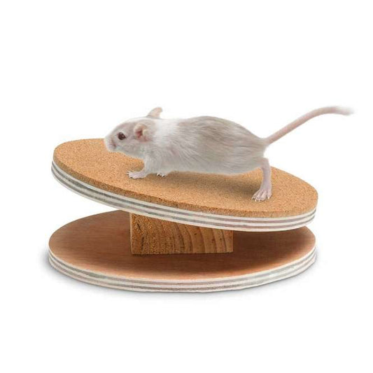 Karlie Flamingo Bogie Disc running disc with cork coating