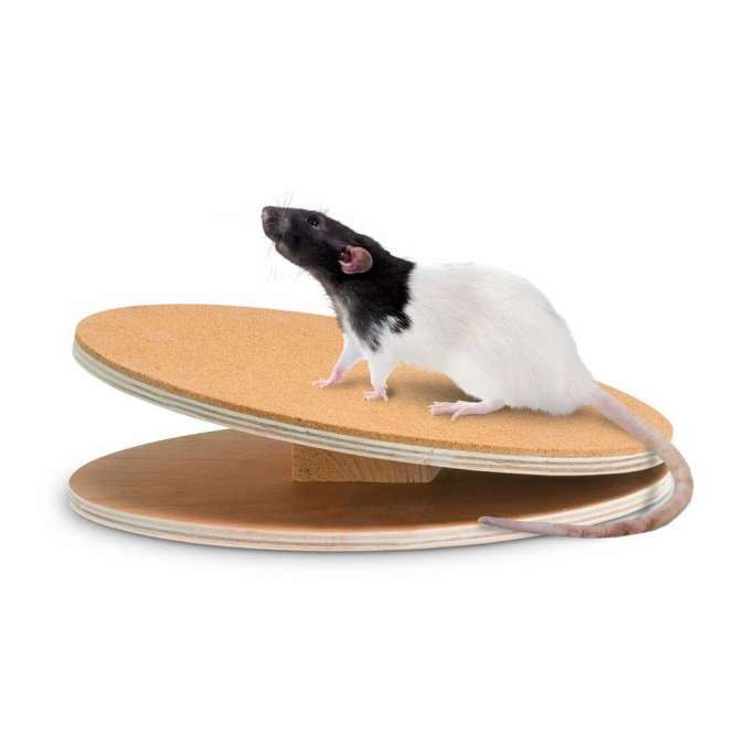 Karlie Flamingo Bogie Disc running disc with cork coating