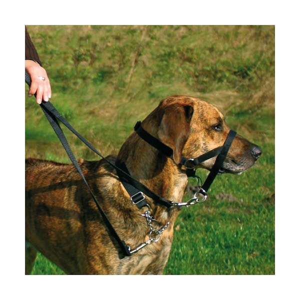 Trixie Top Trainer Training Harness