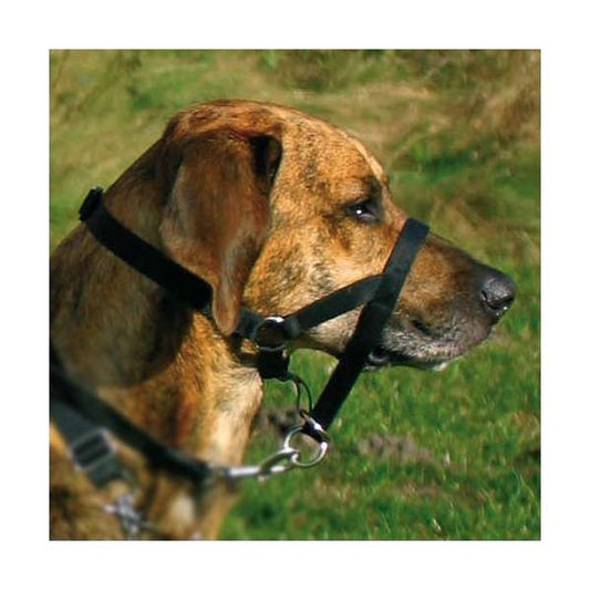 Trixie Top Trainer Training Harness