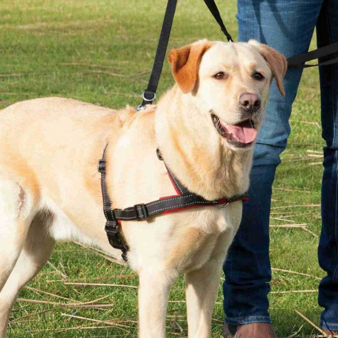 Trixie training harness Lead'n'Walk Soft
