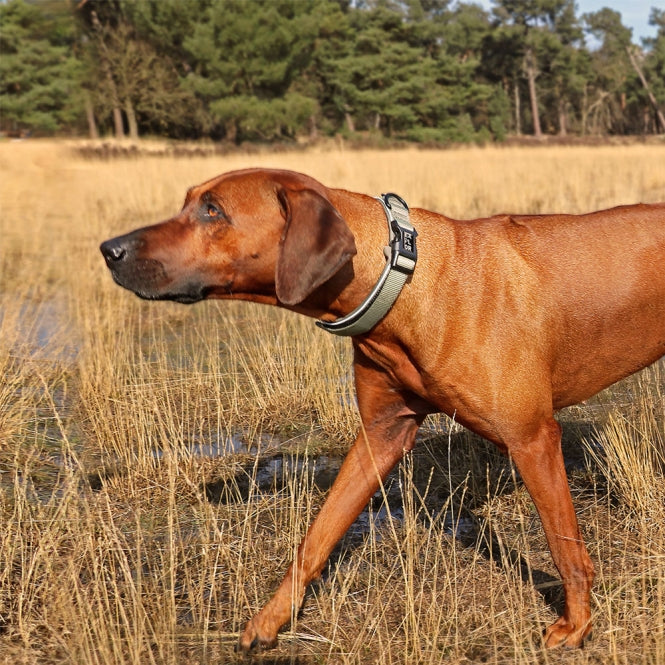 Duvoplus EXPLOR Ultimate Fit Comfy Collar Classic - Undercover Green