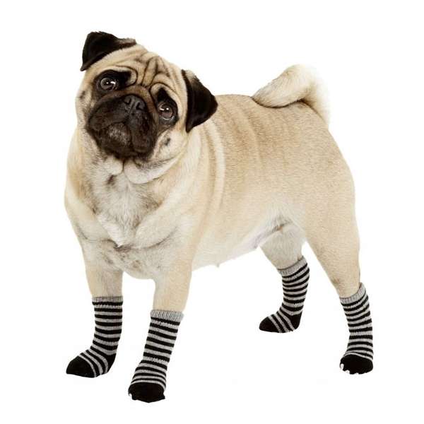 Karlie Doggy Socks Dog Socks Set of 4 - Black/Gray