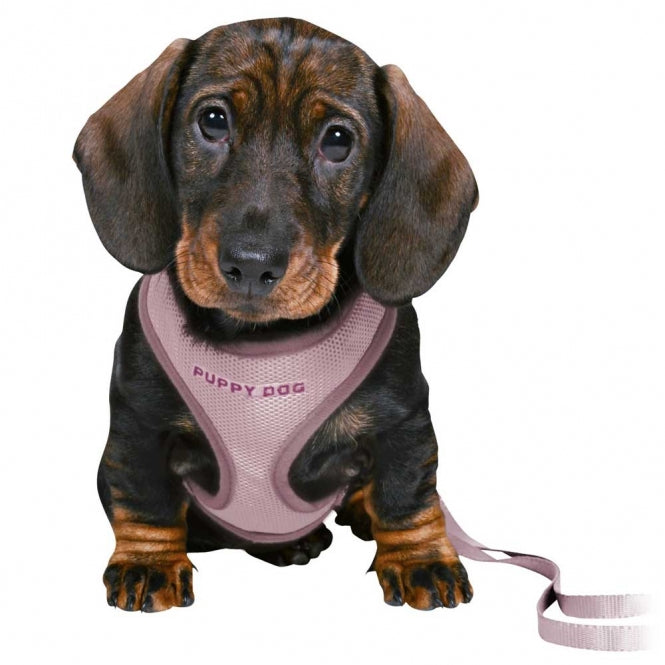 Trixie Junior Puppy Soft Harness with Leash