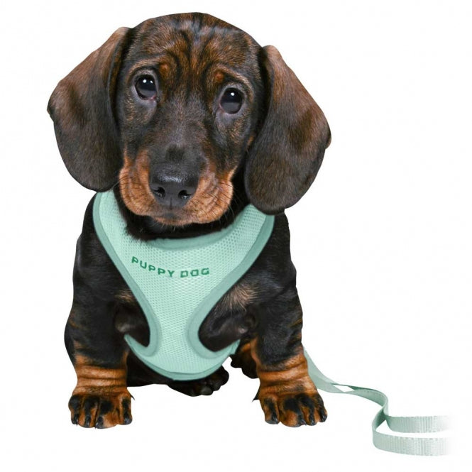 Trixie Junior Puppy Soft Harness with Leash