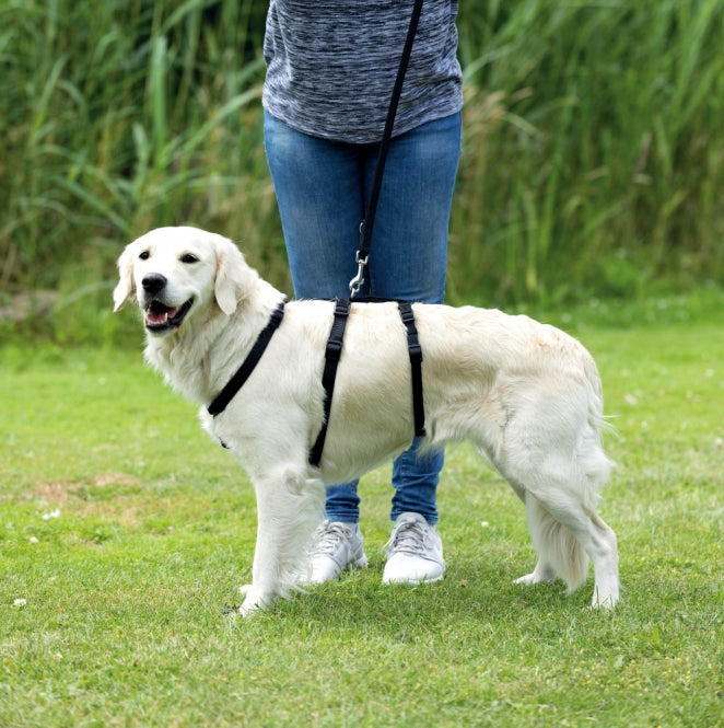Trixie Panic Harness Stay