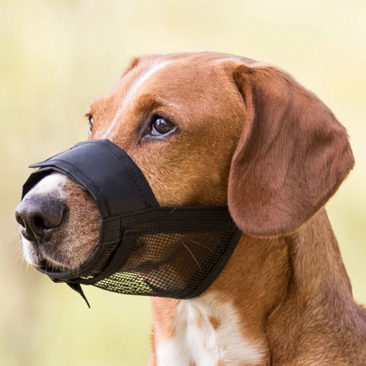 Trixie muzzle with mesh insert
