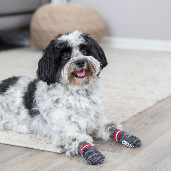Trixie Hundesocken - Grau