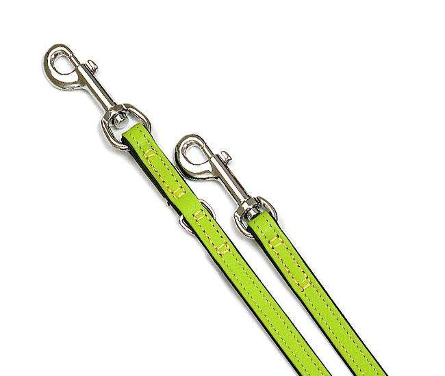 Karlie VINTAGE Leash - Kiwi