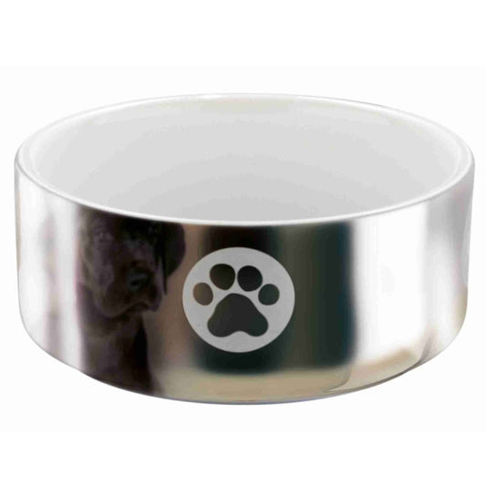 Trixie ceramic bowl - silver/white - 0.3 l/ø 12 cm