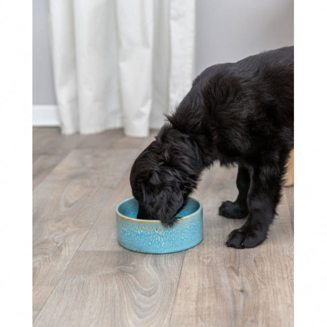 Trixie ceramic bowl with pattern - blue