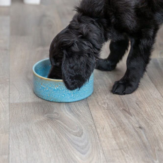 Trixie ceramic bowl with pattern - blue