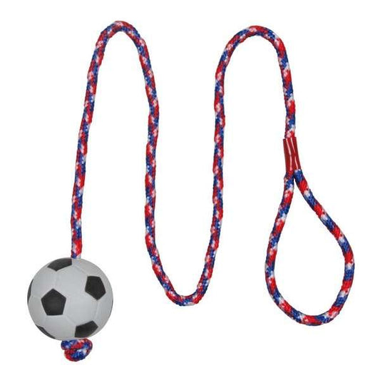 Trixie foam rubber ball on a rope - 6 cm / 1 m