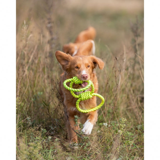 Trixie Greifer aus Polyester - 42 cm