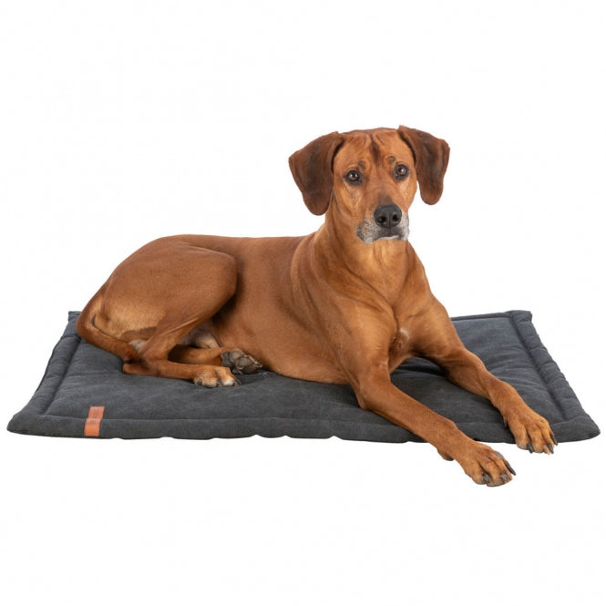 Trixie BE NORDIC Liegematte Föhr - schwarz