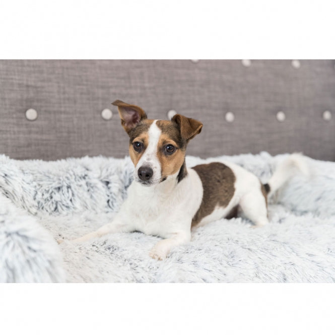 Trixie padded protective blanket Harvey