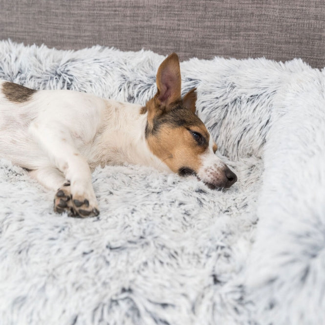 Trixie padded protective blanket Harvey