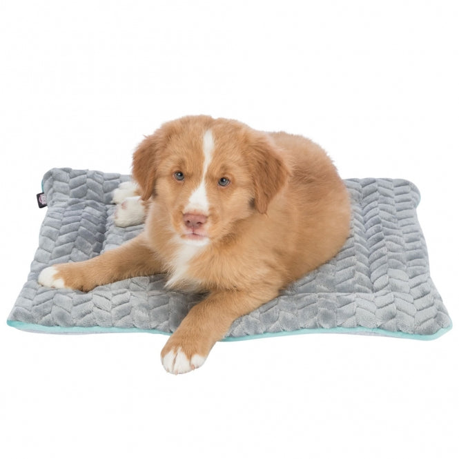 Trixie Junior Liegematte