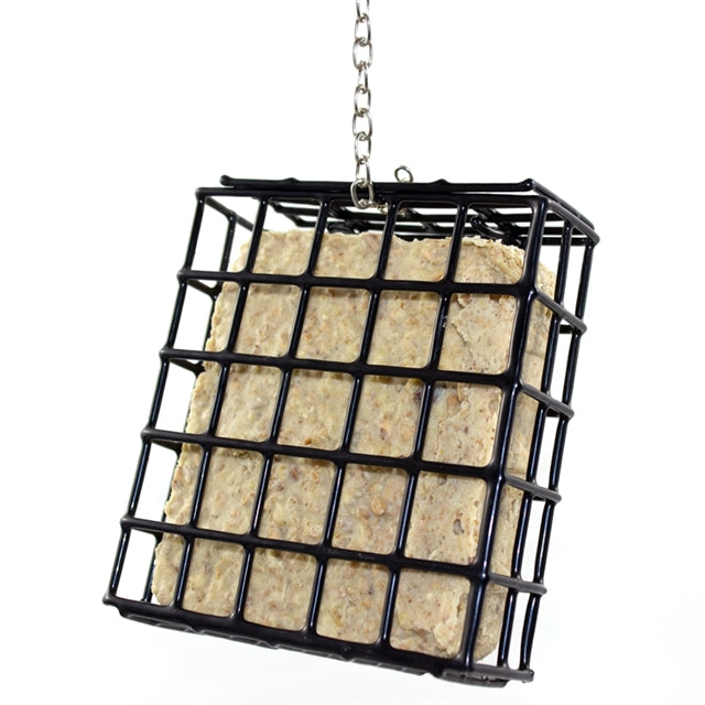 Pfiffikus bird buffet dispenser box