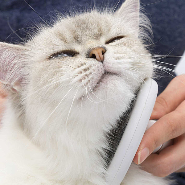 Catit brush set for medium and long-haired cats