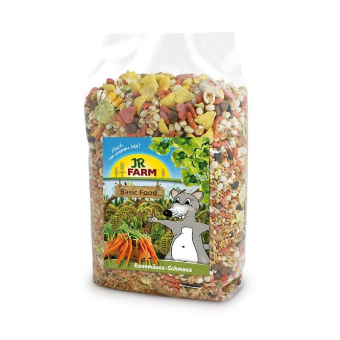 JR Farm Gerbil Feast 600g