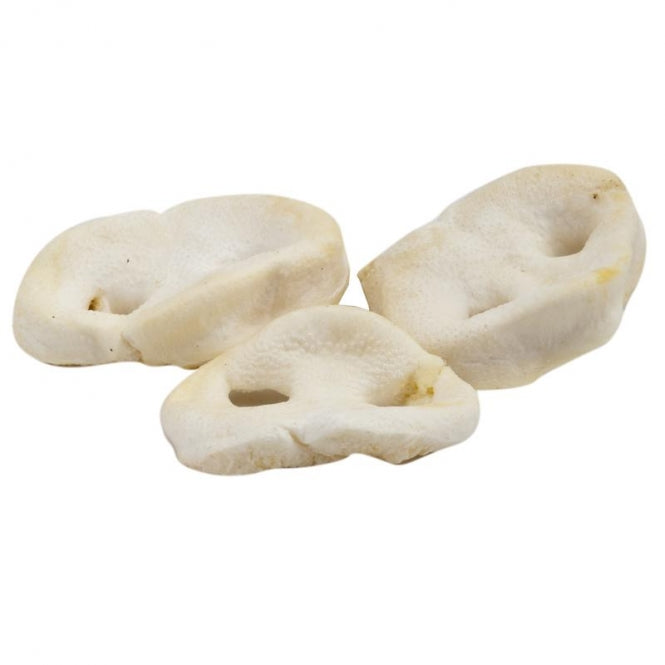 Classic Dog Snack White Puffed Pig Noses - 5 pieces