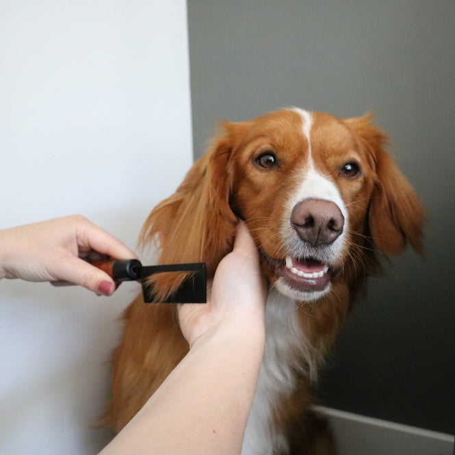 EBI Noir Japandi detangling comb