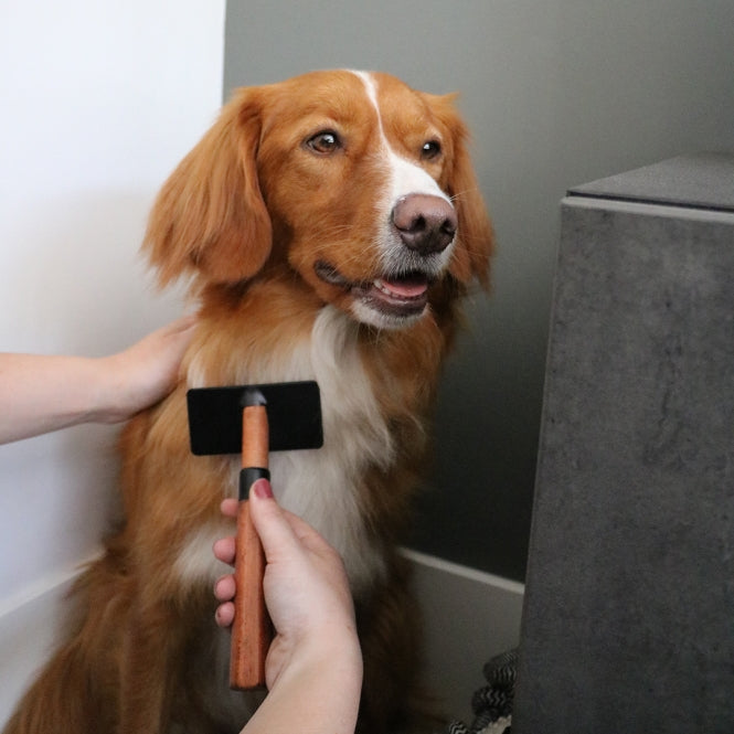 EBI Noir Japandi Slicker Brush