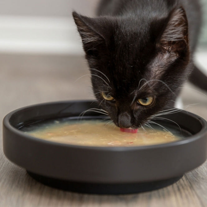 Trixie Soup with Chicken & Salmon - 80g