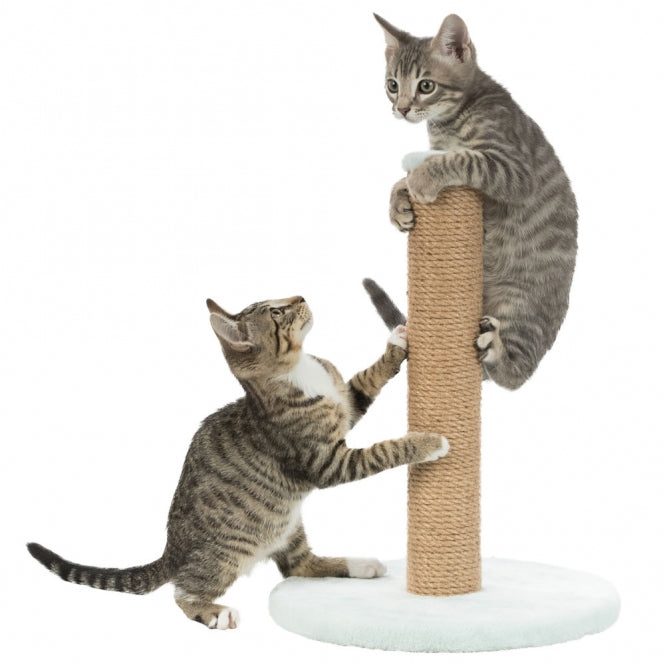 Trixie Junior Scratching Post