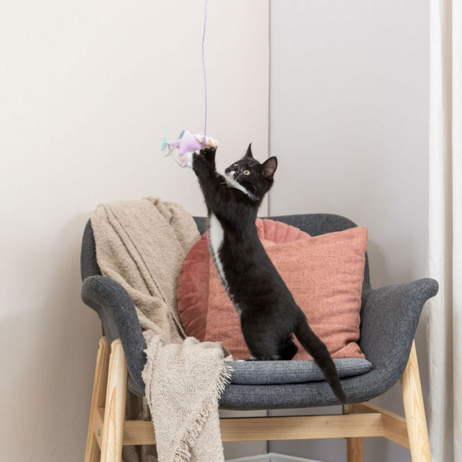 Trixie Junior Spielangel mit Stern