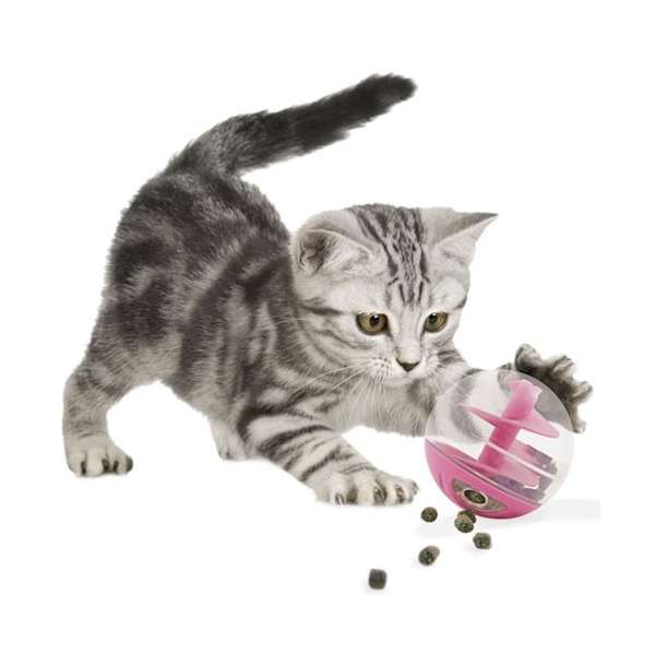CATIT Snack Ball for Cats or Small Dogs