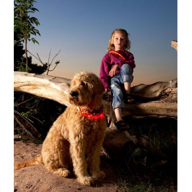 Karlie Visio Light LED light tube with USB - Striped