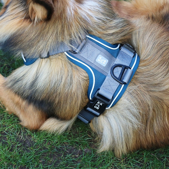 Duvoplus EXPLOR Ultimate Fit no-pull harness - petrol blue - XS - 28-37cm - 32-43cm