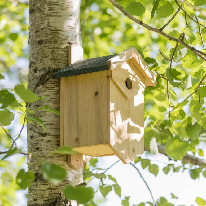 Trixie nesting box for cavity nesters