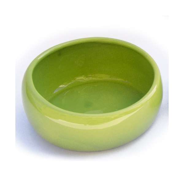 LIVING WORLD Ergonomic rodent bowl large green
