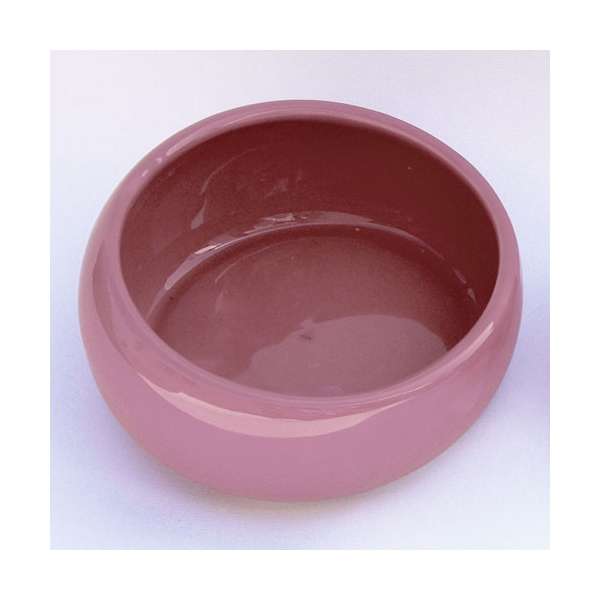 LIVING WORLD Ergonomic rodent bowl large pink