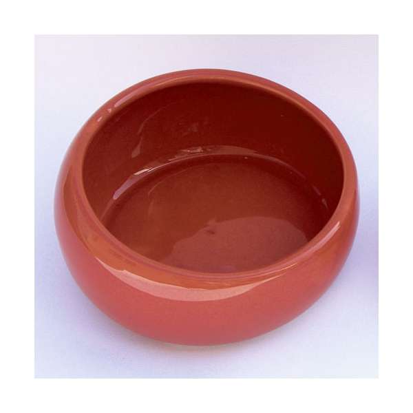 LIVING WORLD Ergonomic rodent bowl large terracotta