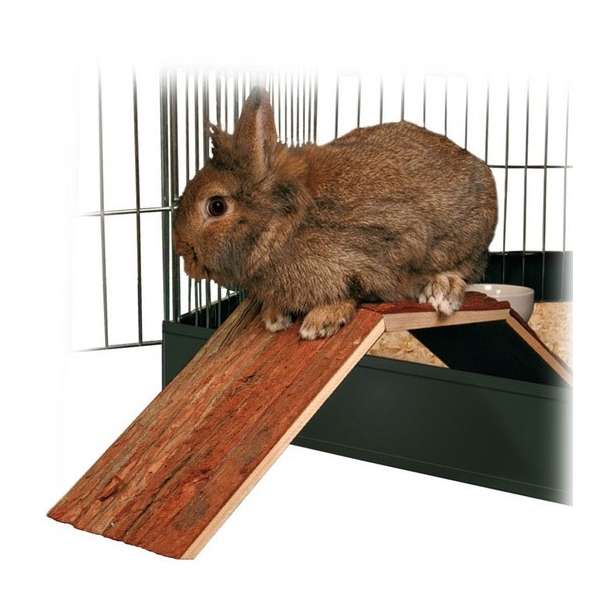 Trixie bridge for leaving the cage