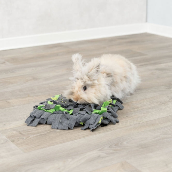 Trixie sniffing mat for small animals