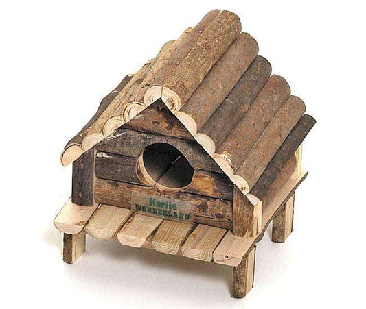 Karlie Holzhaus HUDSON BAY