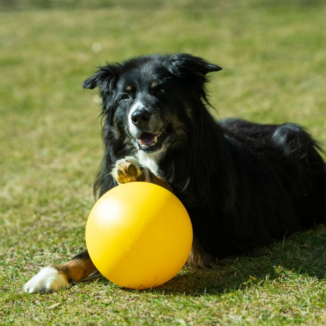 PROCYON Treibball size S - extra stable