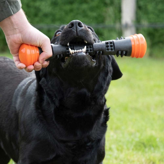 Dog Comets Meteor Wurfstock