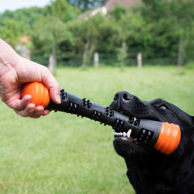 Dog Comets Meteor Wurfstock