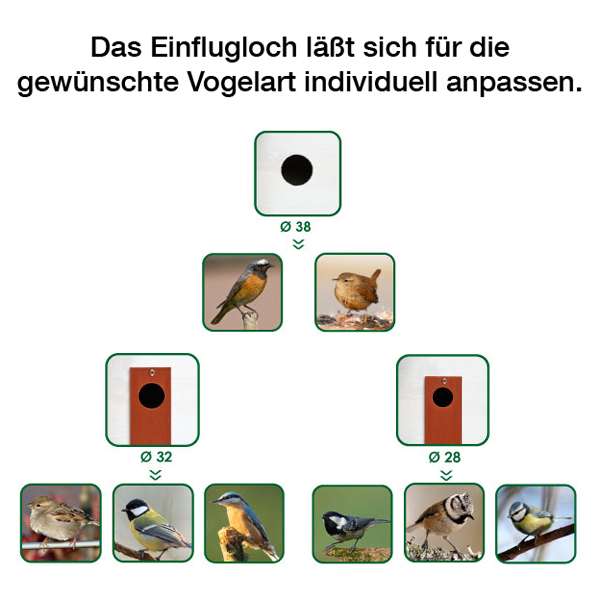 FOP Nesting Box Nido N02