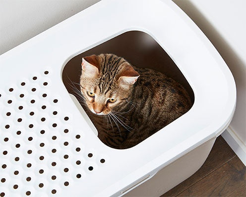 Savic Hop In cat litter box