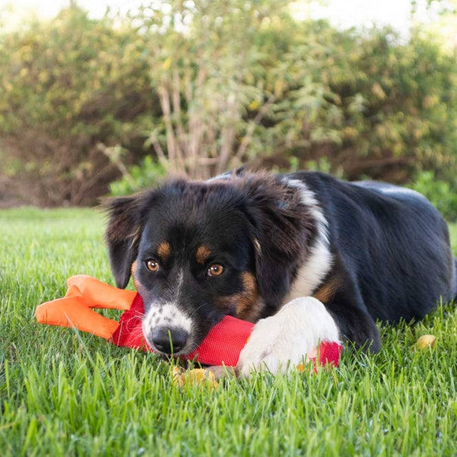 Hozies Billy Bengal made from fire hose