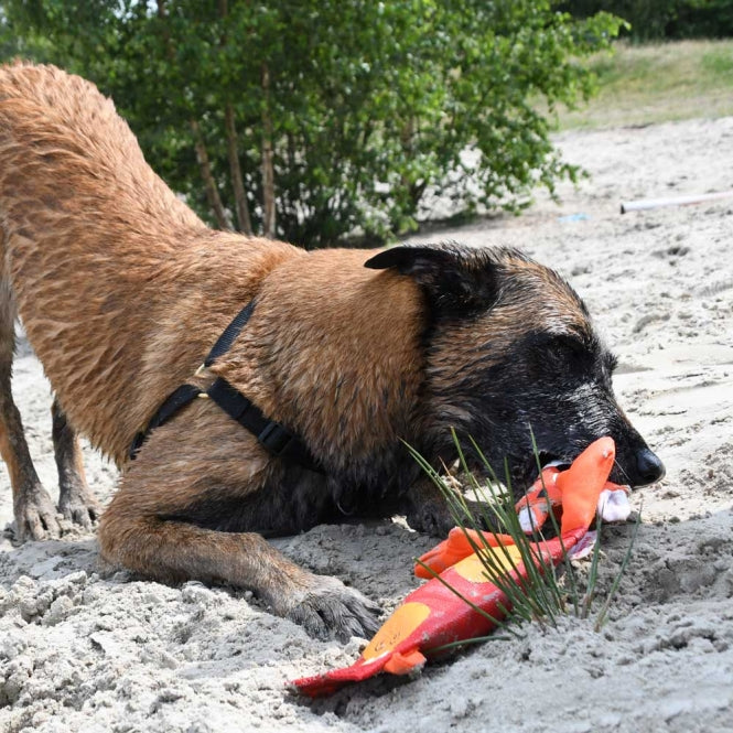 Hozies Trixy Trumpet aus Feuerwehrschlauch