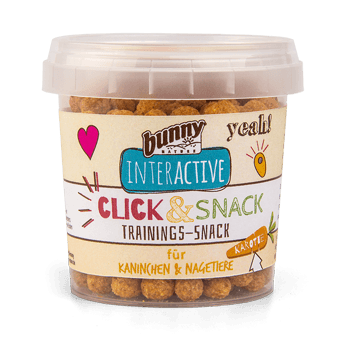 Bunny Training Snack Carrot 30g