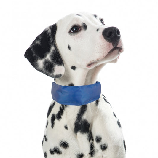 PROCYON Cooling Bandana for Dogs
